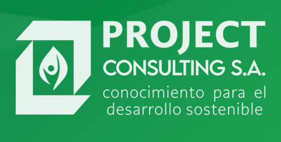 Project Consulting